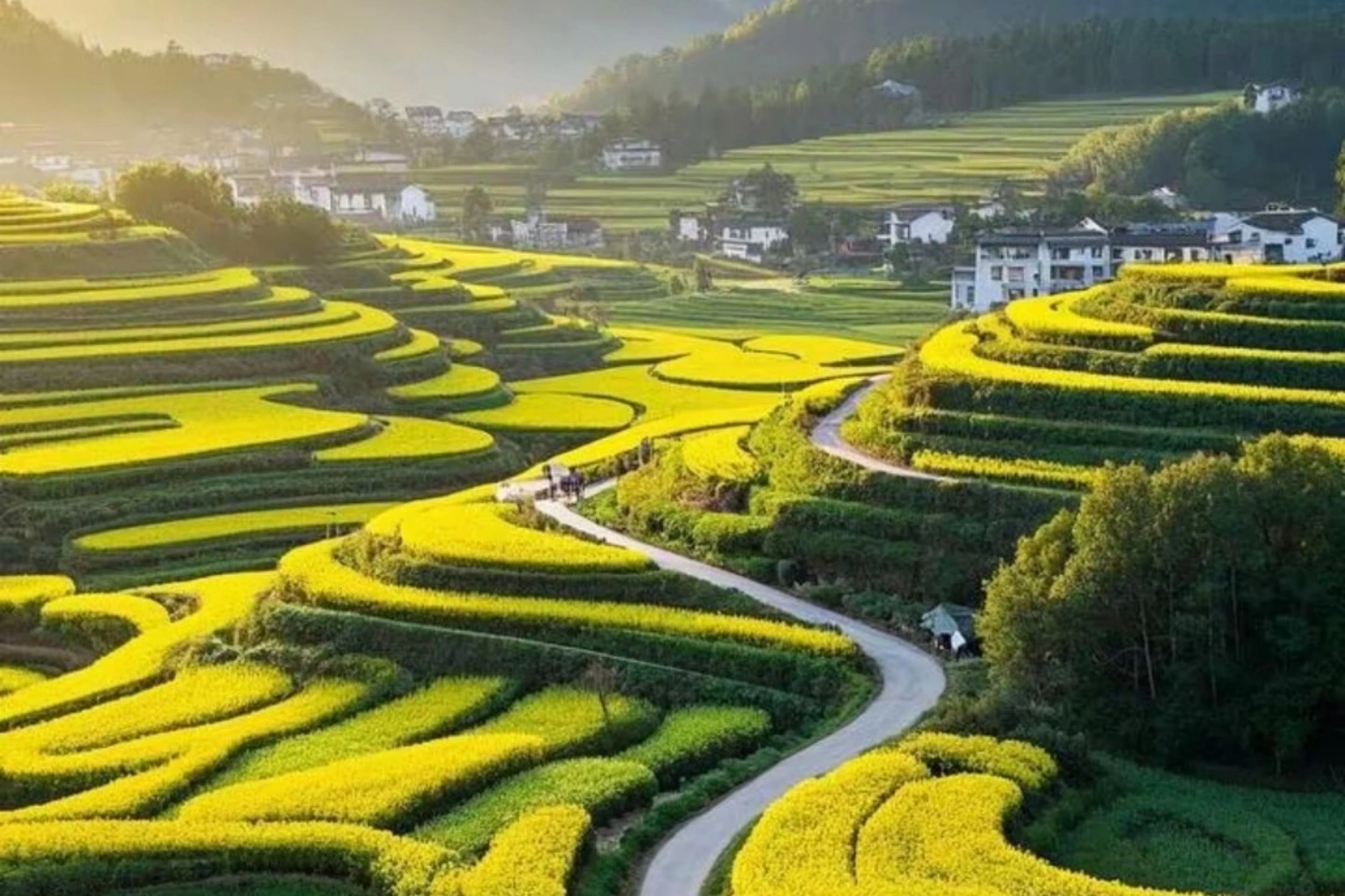 江西