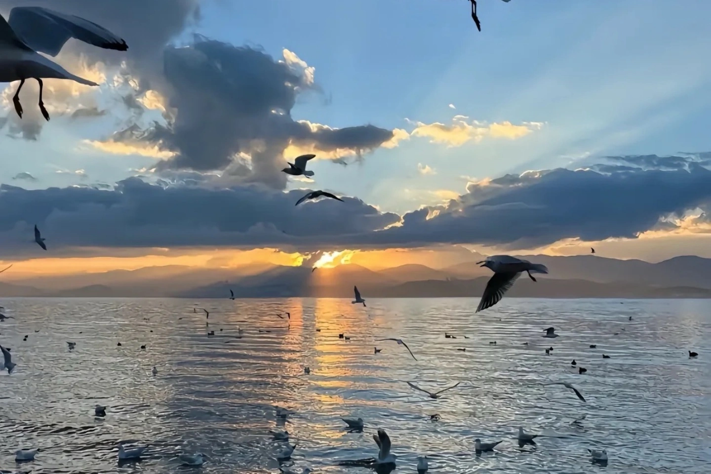 洱海