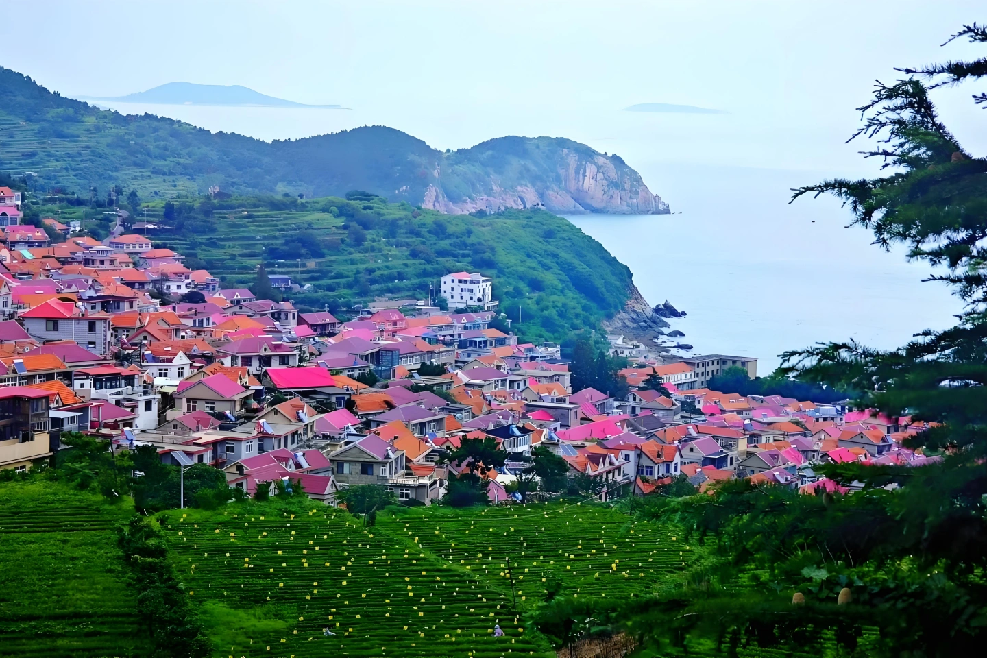 青山渔村